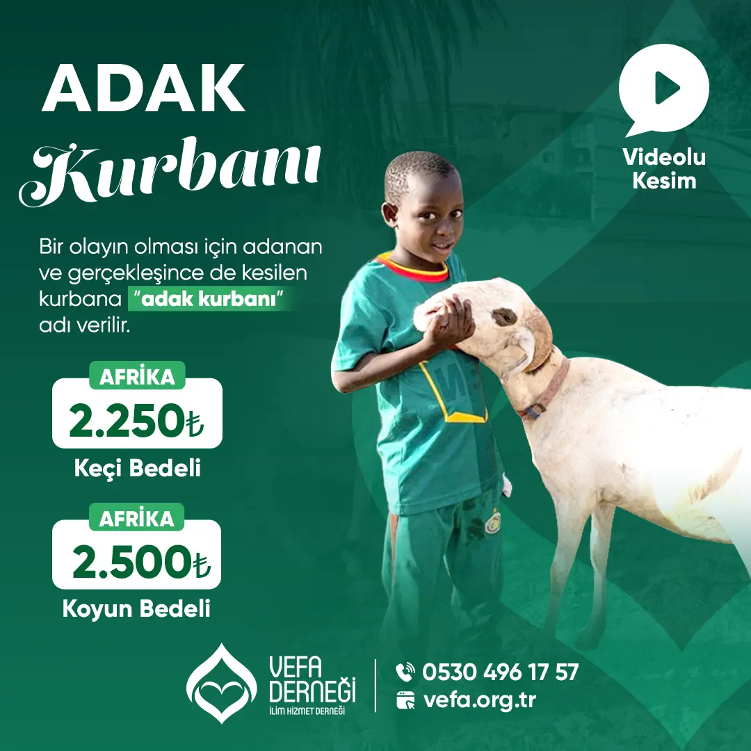 adak 1